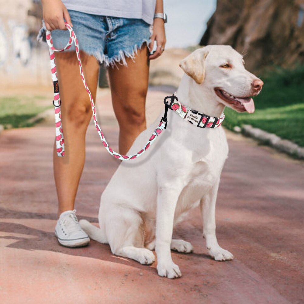 Colorful Print Nylon Dog Leash