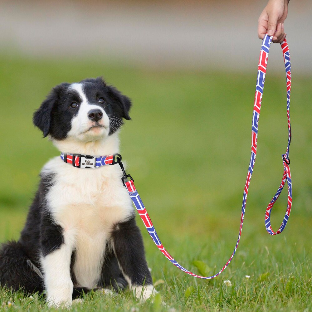 Colorful Print Nylon Dog Leash