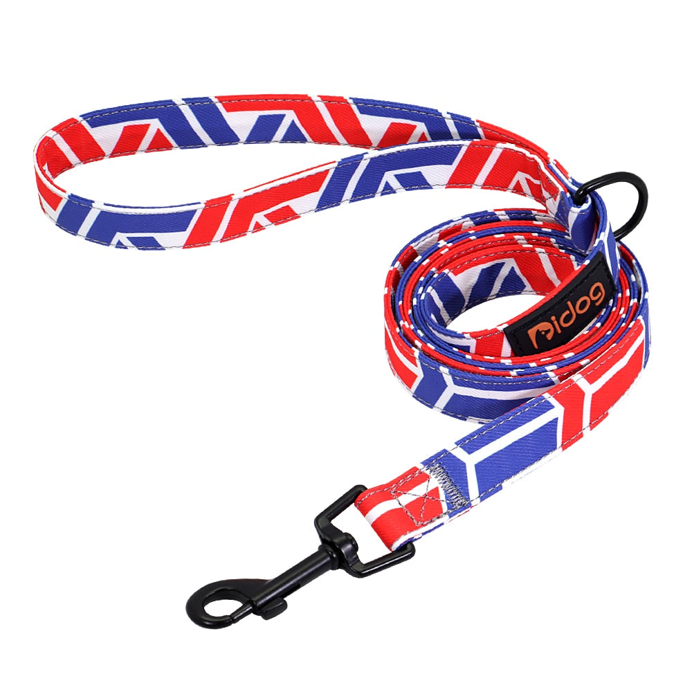 Colorful Print Nylon Dog Leash