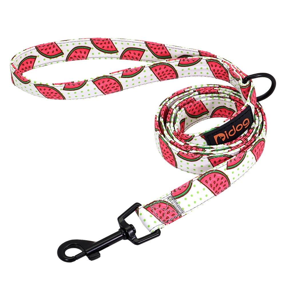 Colorful Print Nylon Dog Leash