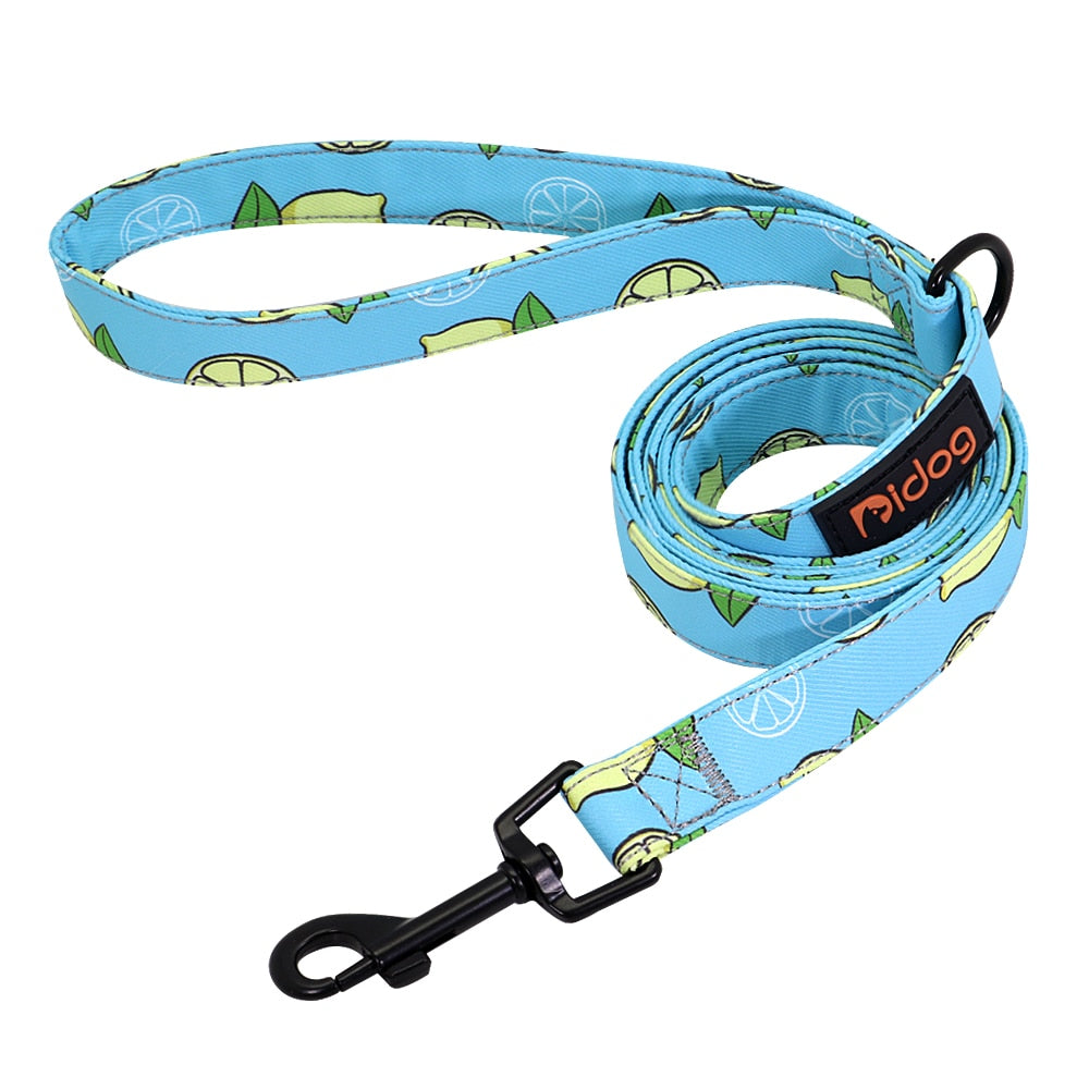 Colorful Print Nylon Dog Leash