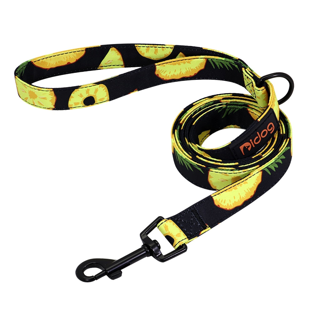 Colorful Print Nylon Dog Leash