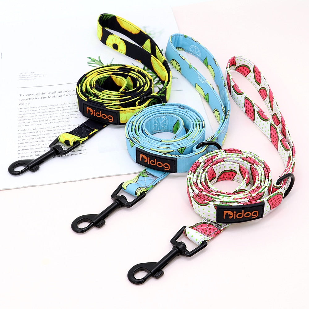 Colorful Print Nylon Dog Leash