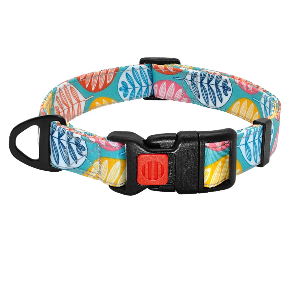 Colorful Printed Nylon Dog Collar