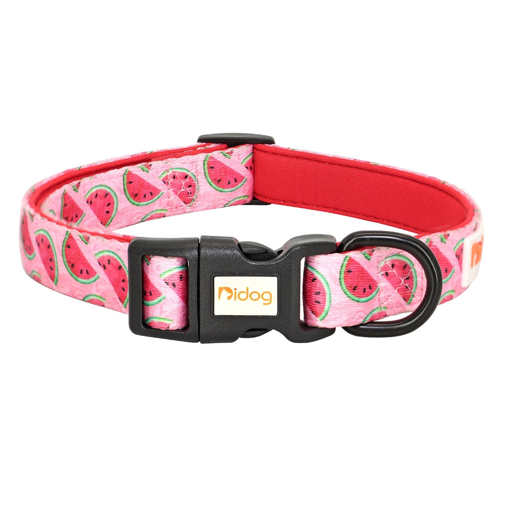 Colorful Printed Nylon Dog Collar