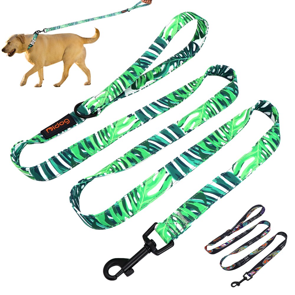 Colorful Print Nylon Dog Leash