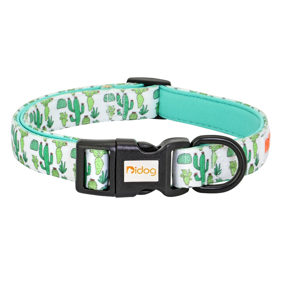 Colorful Printed Nylon Dog Collar