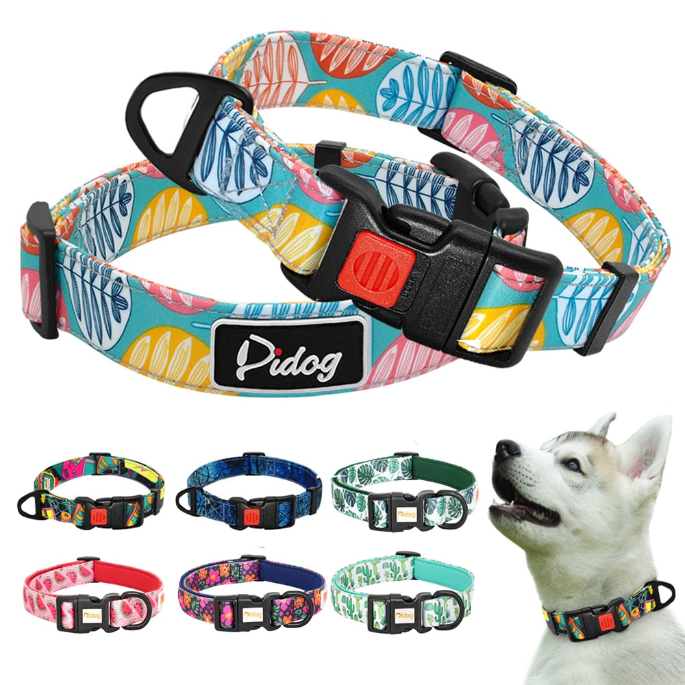 Colorful Printed Nylon Dog Collar