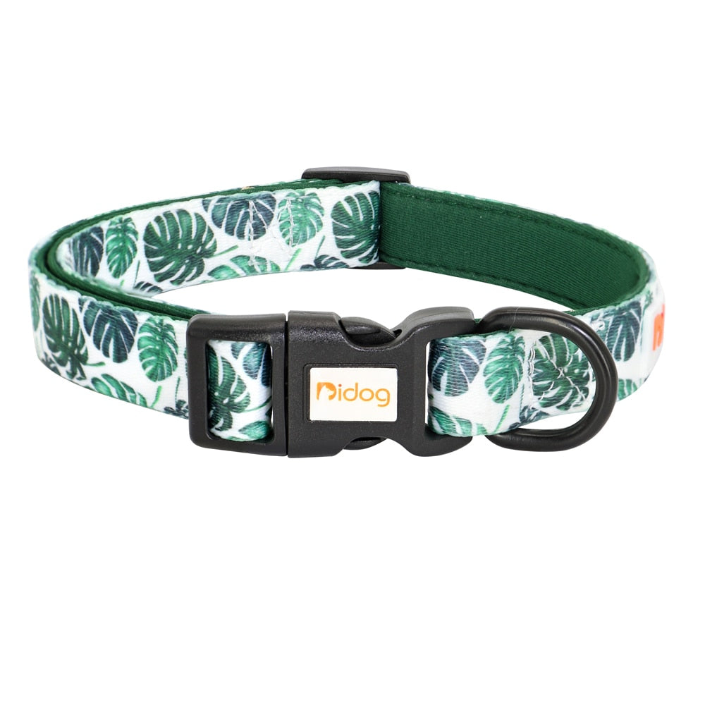 Colorful Printed Nylon Dog Collar